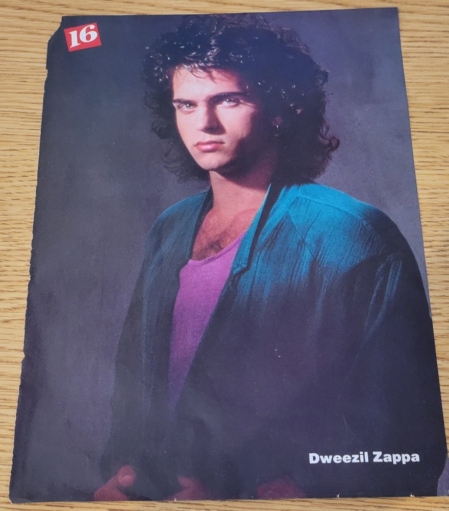 Dweezil Zappa Pinup