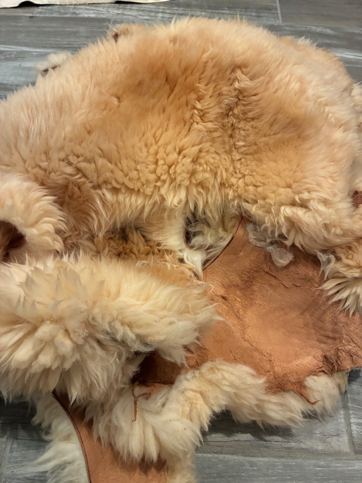 ½ LB Genuine Sheepskin Shearling Scrap Pieces Craft Fur Wool Leather DIY