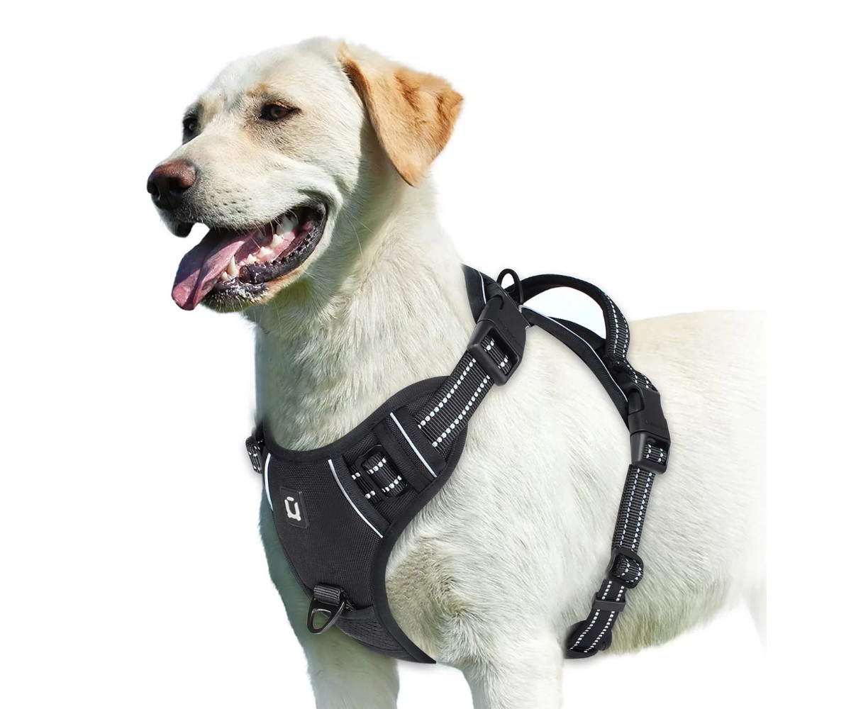 rabbitgoo Dog Harness with 2 Leash Clips No-Pull Reflective Vest for Large Dogs