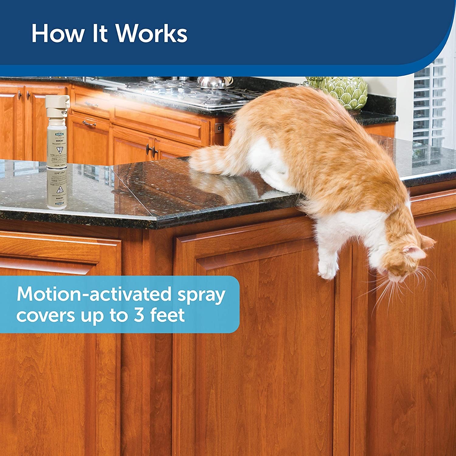 PetSafe SSSCAT Motion Activated Spray Deterrent for Cats and Dogs - PPD19-16170