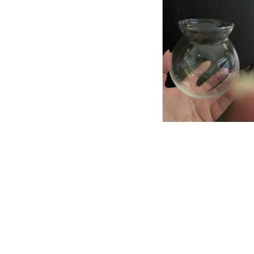4 inch BettaBowl