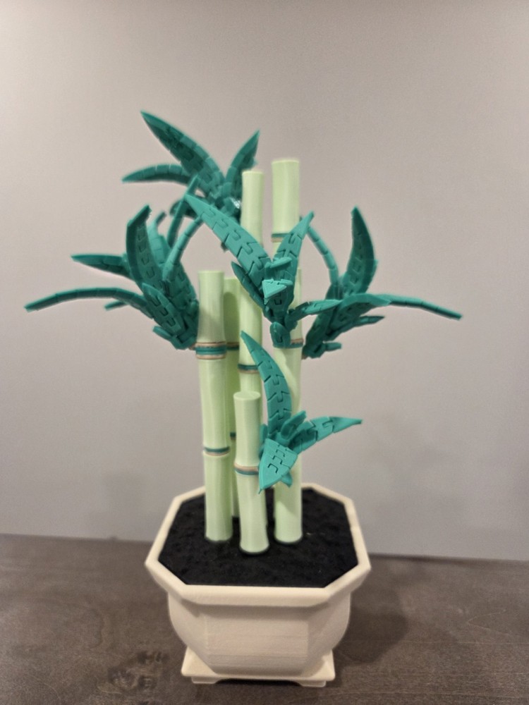 Personalized Lucky Bamboo -FlexiPlants 3D