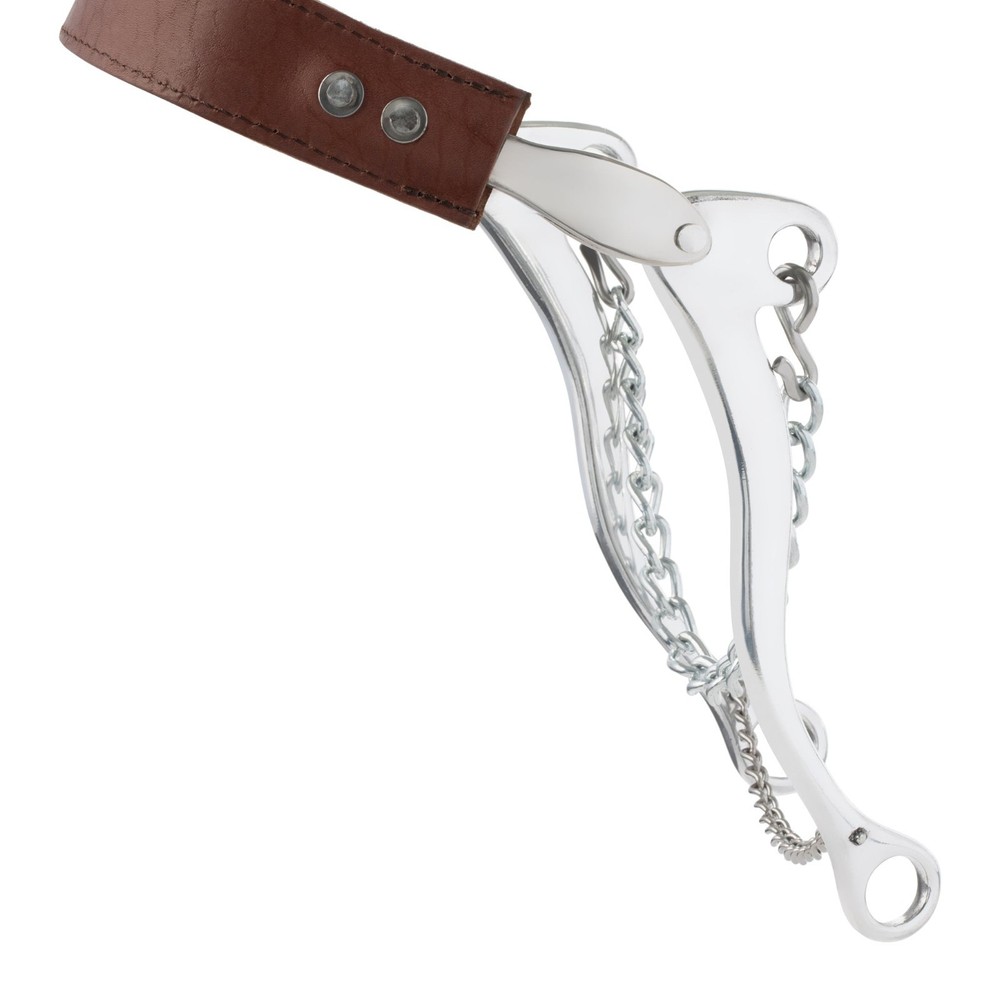 Hackamore with Flat Leather Noseband