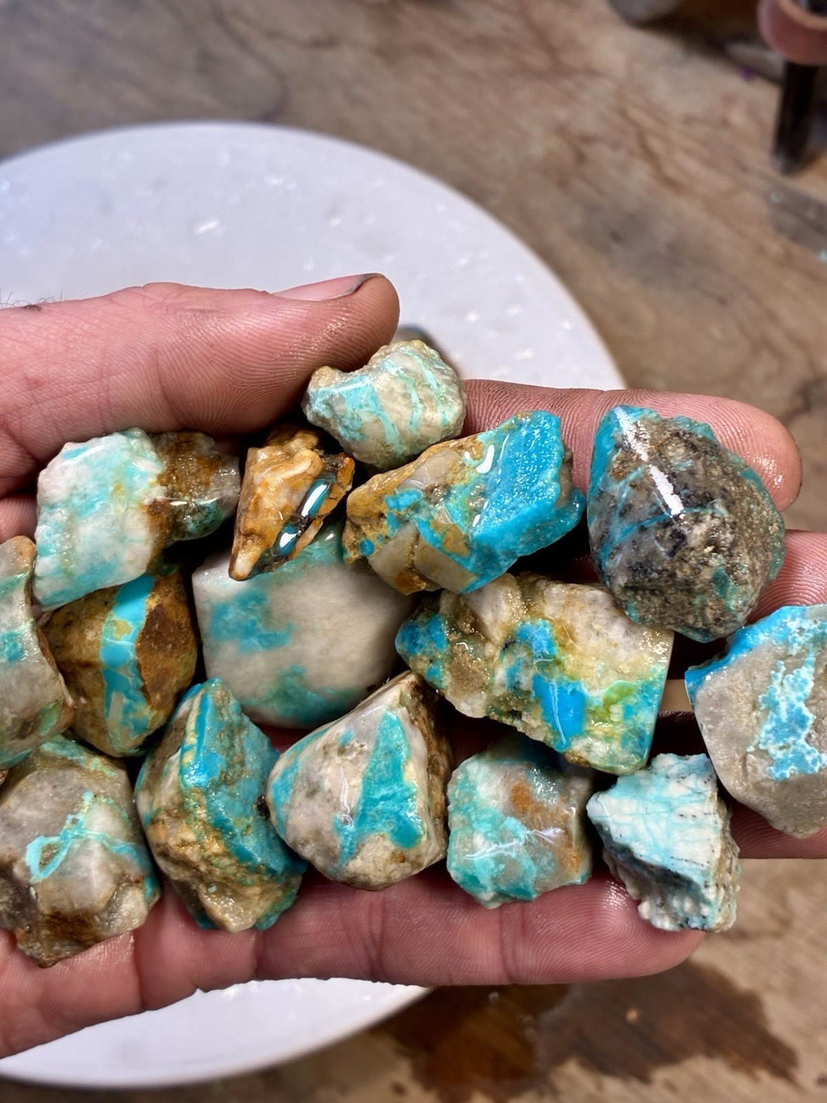 1 Lb of Skinny Turquoise Mountain Nugs! Now Available Again! ￼