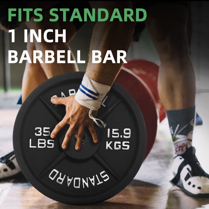 Classic Cast Iron Weight Plates 35lb Standard Olympic Strength Training Fitness