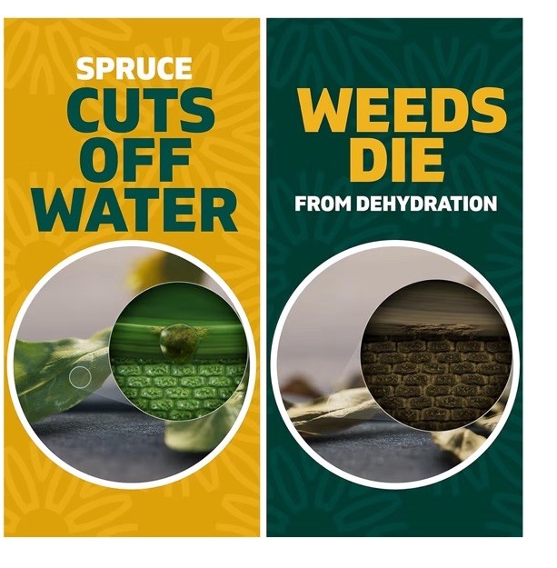 Spruce Weed Killer Spray - Snap & Spray Weed & Grass Killer₂ Powered Starter Kit