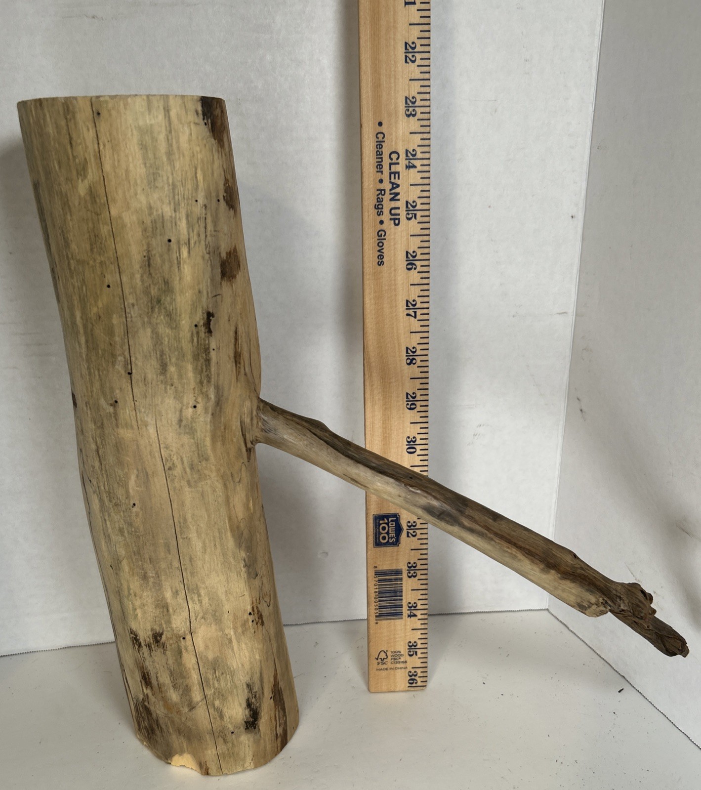 Driftwood¡ 2 Piece Set Cedar Taxidermy Beach Mountain Wedding 1 White Outside