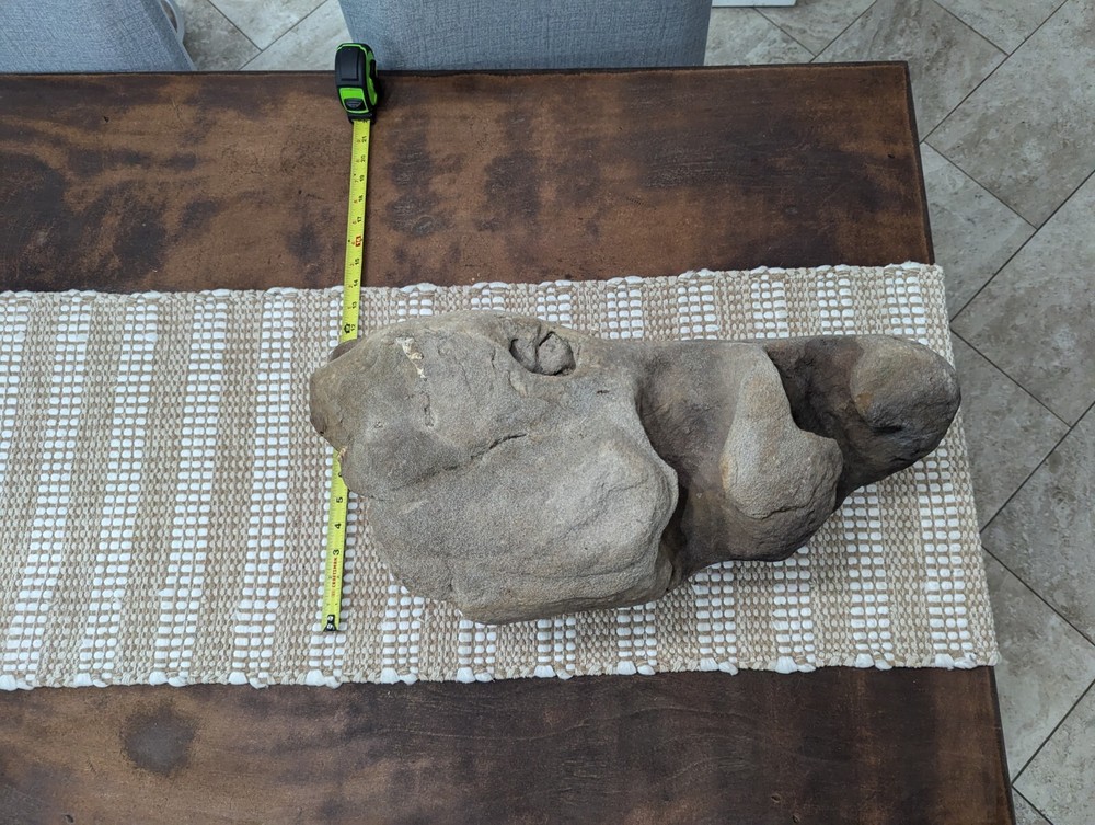 Fossilized Alien Head ???? 👽🛸