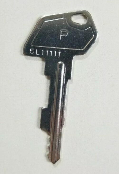 SAM4s Cash Register  "P"  Key