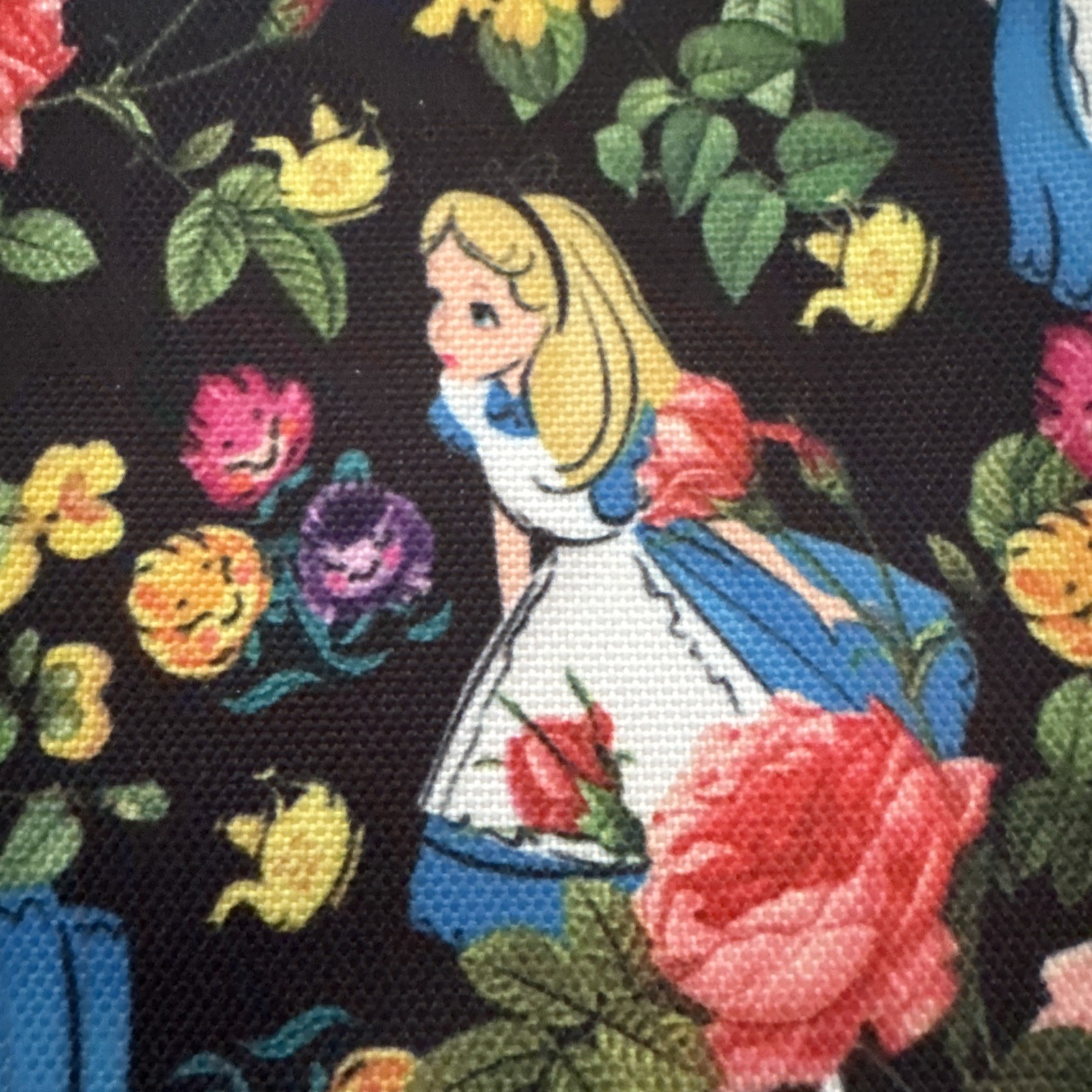 Disney Loungefly  Alice in Wonderland  Cosmetic Bag NWT