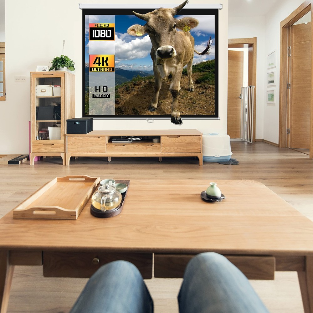 Proht 84" Manual Projection Screen 05350 169 Aspect Ratio Pull Down Projector