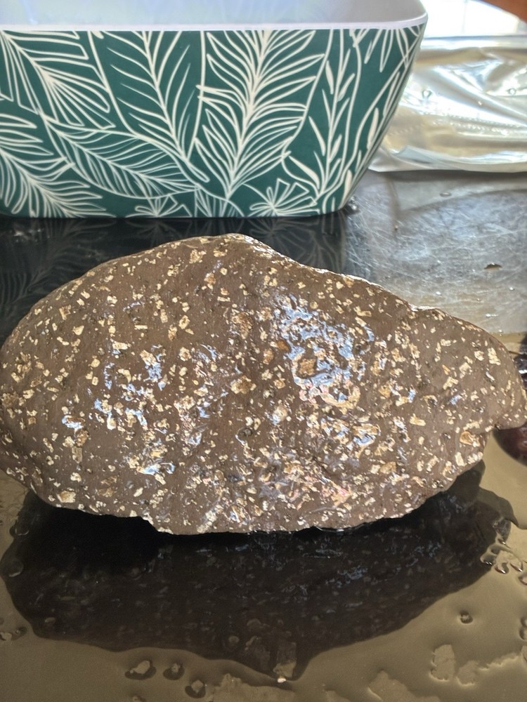 Rough Rocks for Sale