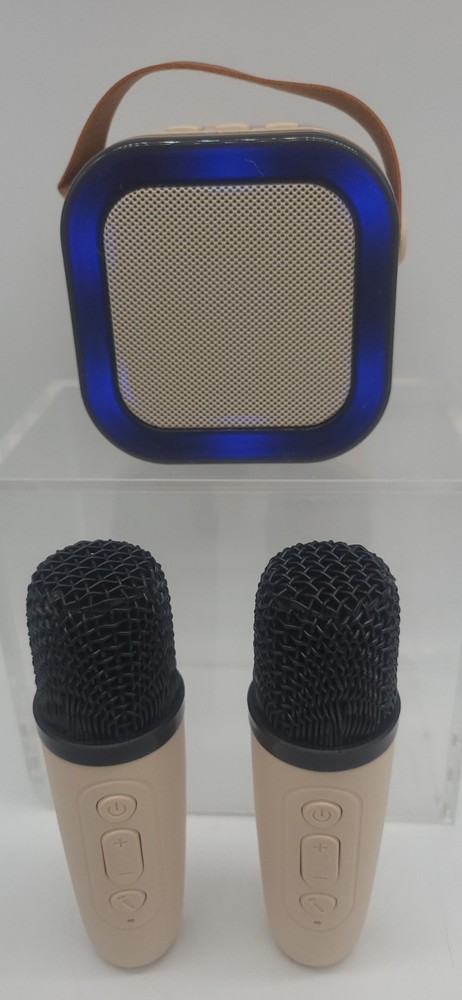 Wireless Mini Karaoke Machine 2 Microphones Bluetooth Speaker Lights