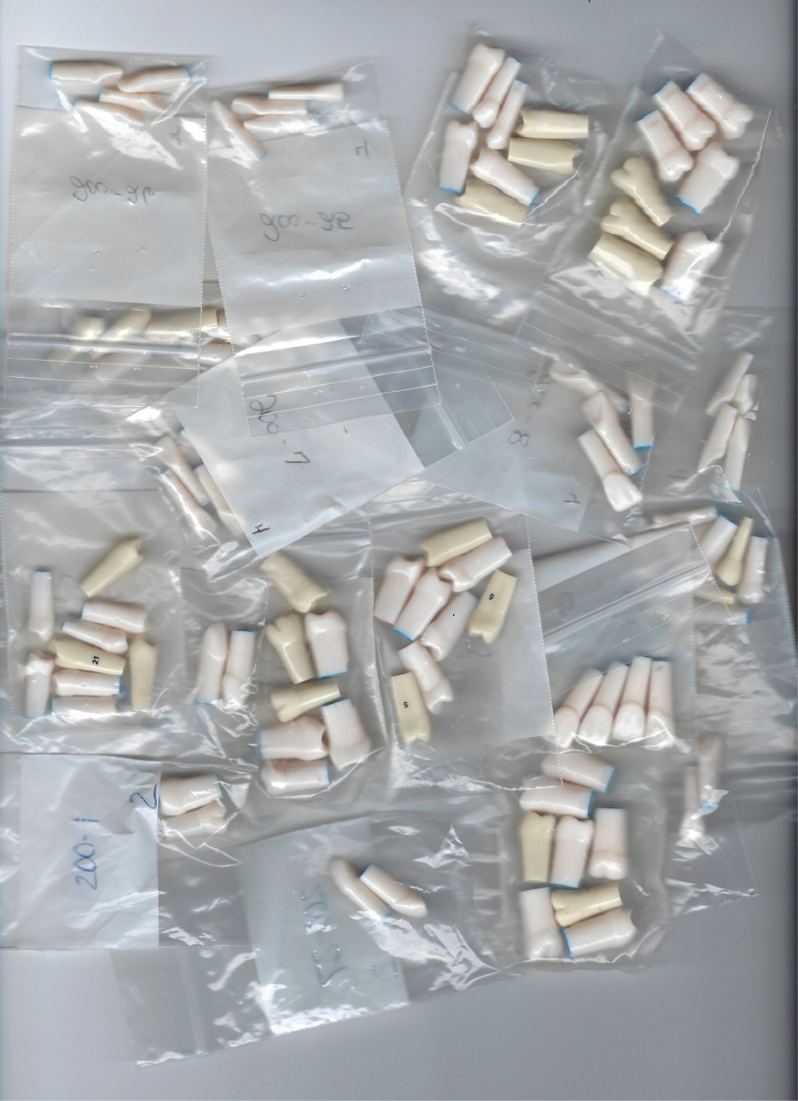 Nissin Kilgore 200 Series Typodont Replacement Teeth, #1-#32, 242 pcs