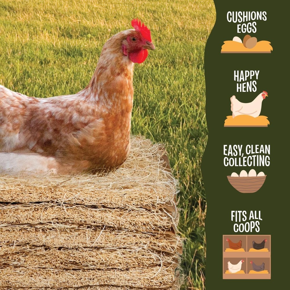 Aspen Nesting Liners 12 Pack Chicken Coop Bedding Egg Cushion & Clean