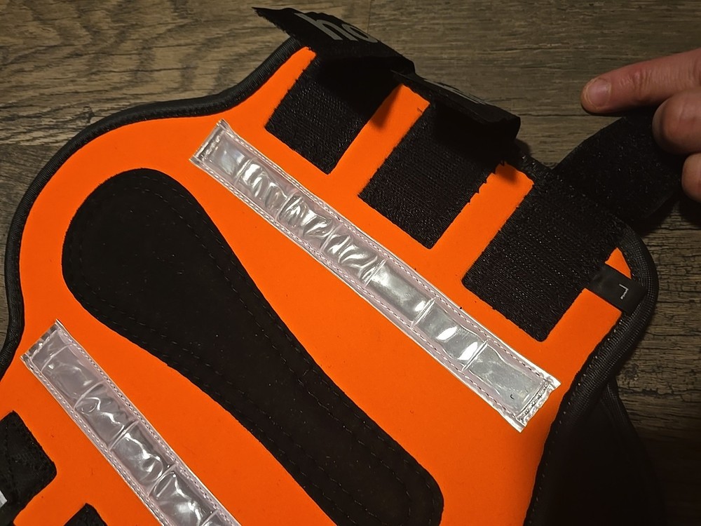 horse splint boots