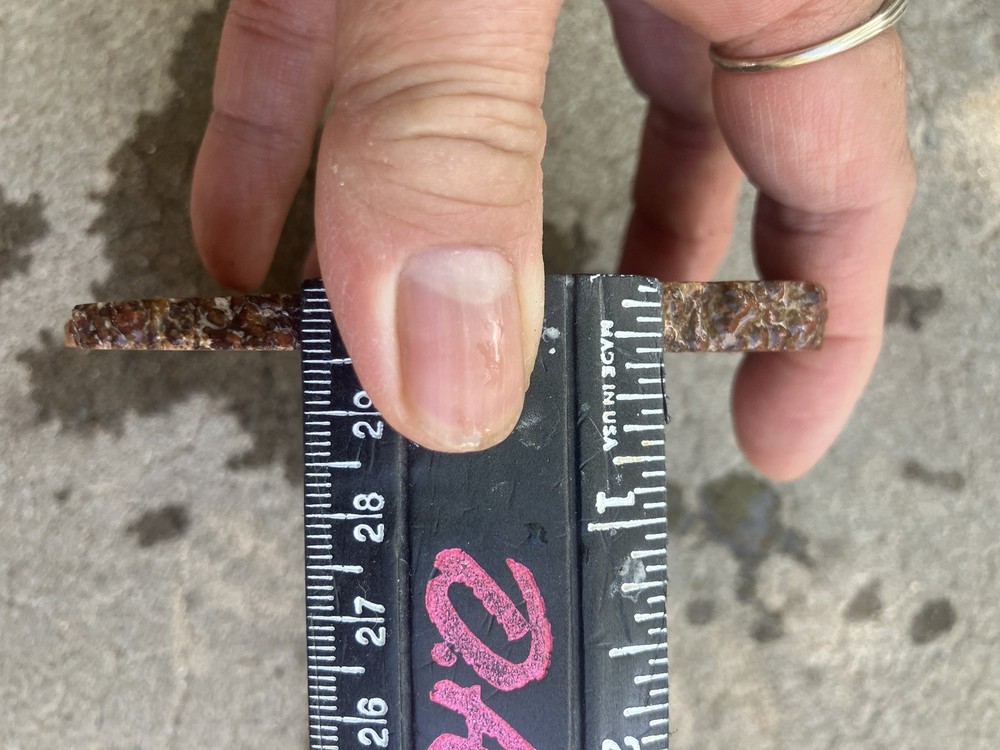 Dinosaur Bone Slab