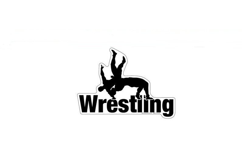 Wrestling Magnet