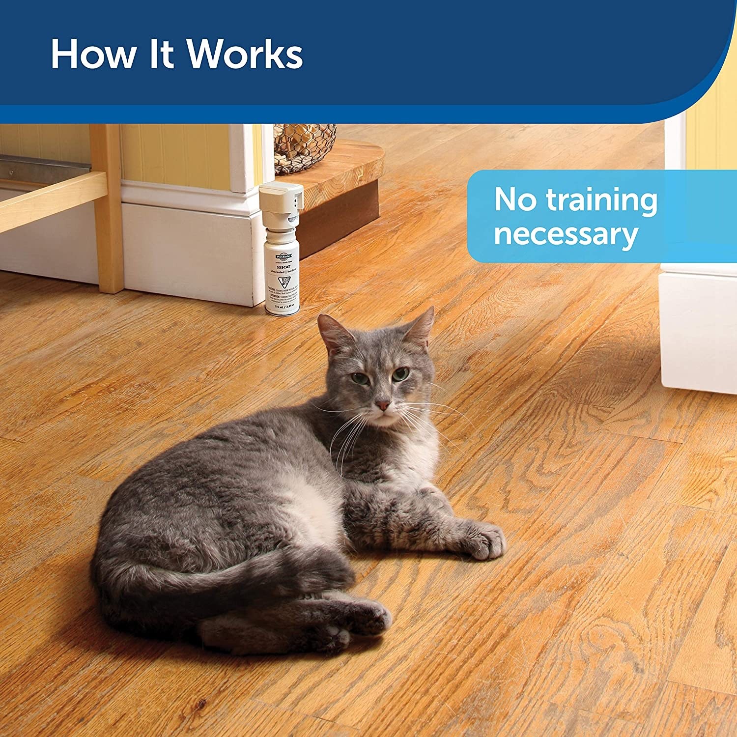 PetSafe SSSCAT Motion Activated Spray Deterrent for Cats and Dogs - PPD19-16170