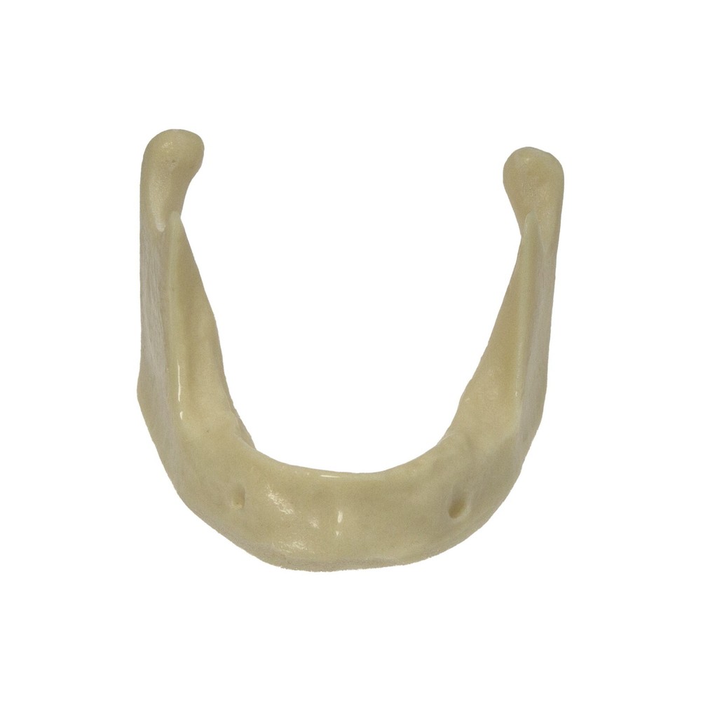 Dental Implant Mandible Jaw Model Basic Drilling Insertion Practice M2022
