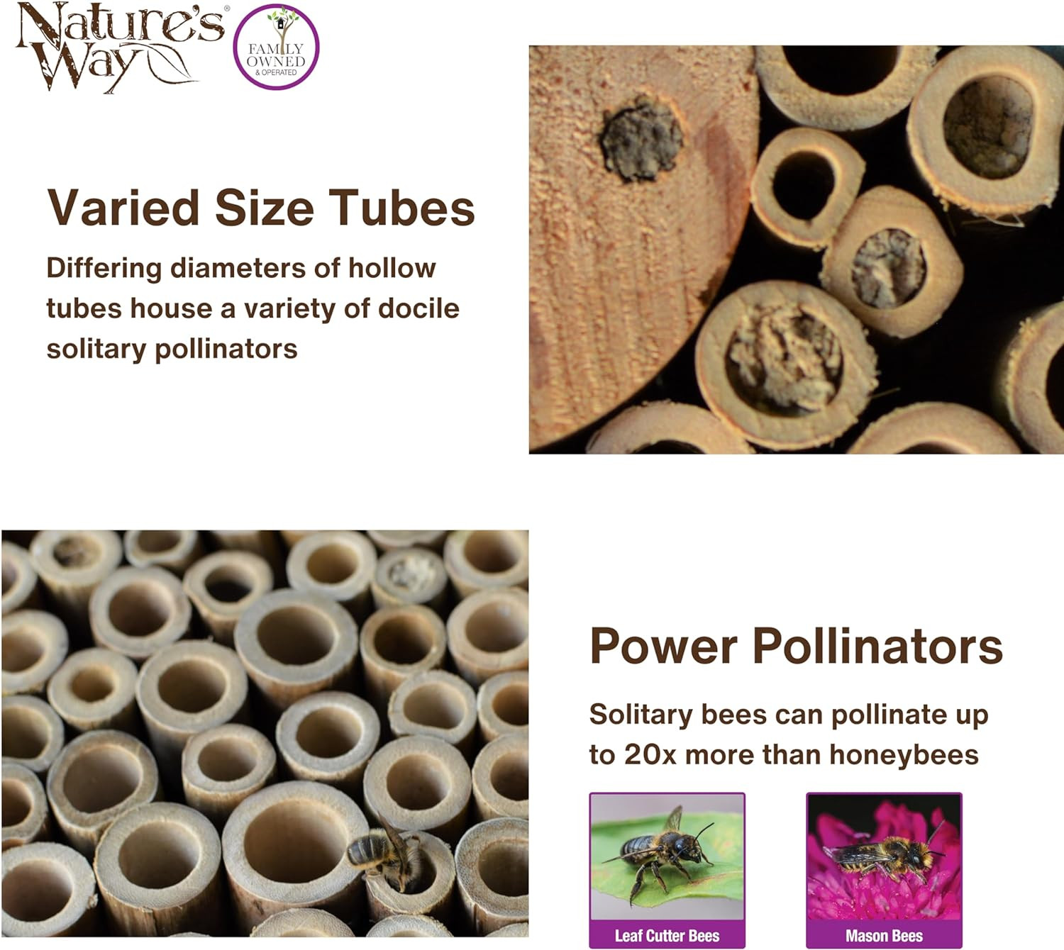 Mason Bee House Pollinator Bee Hotel Garden Solitary Bee Nesting Box