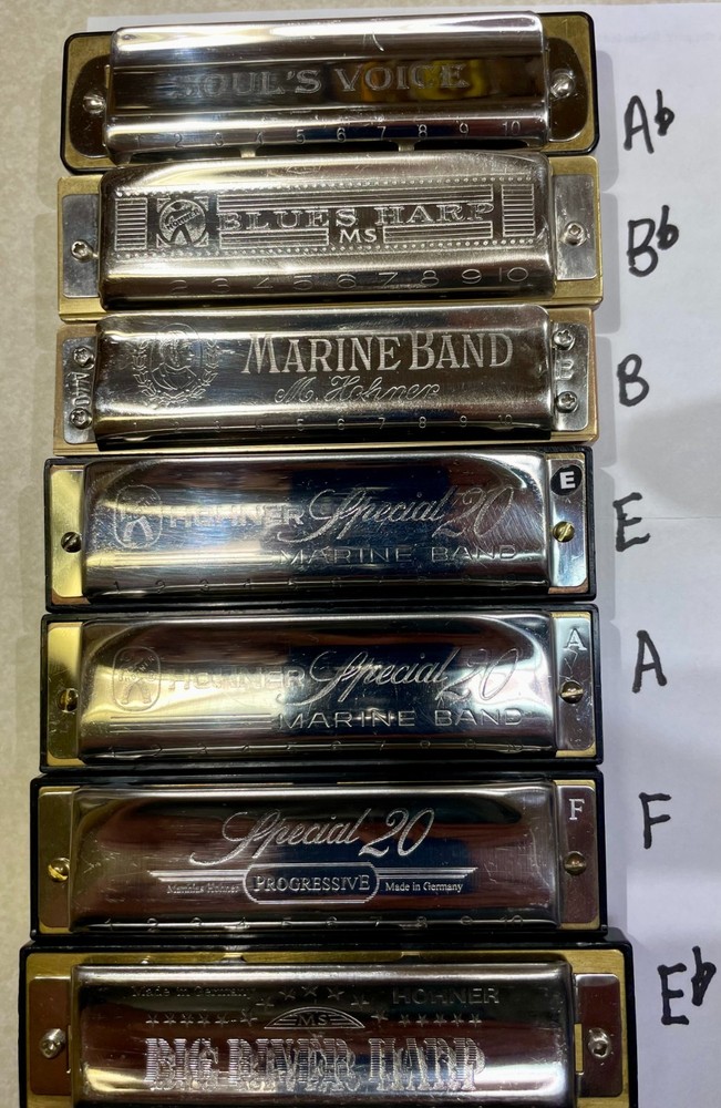 Harmonica Hohner Paddy Richter tuned, various keys