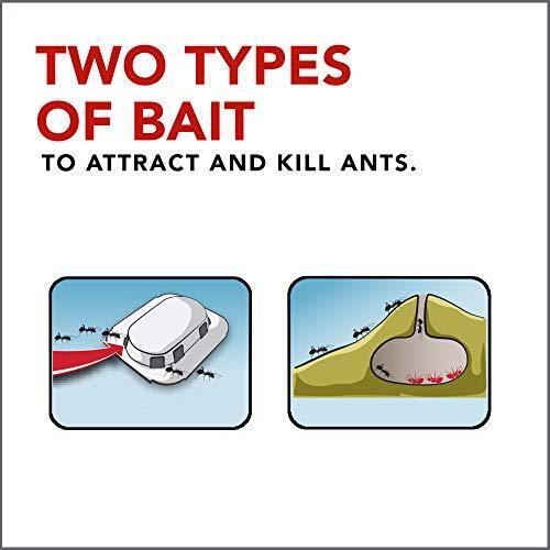 Raid Max Double Control Ant Baits, 0.28 oz, 8 CT (1)