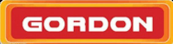 FLASHLIGHT Magnetic Hanging 27 LED Bulb BRIGHT Work LIGHT compact GORDON