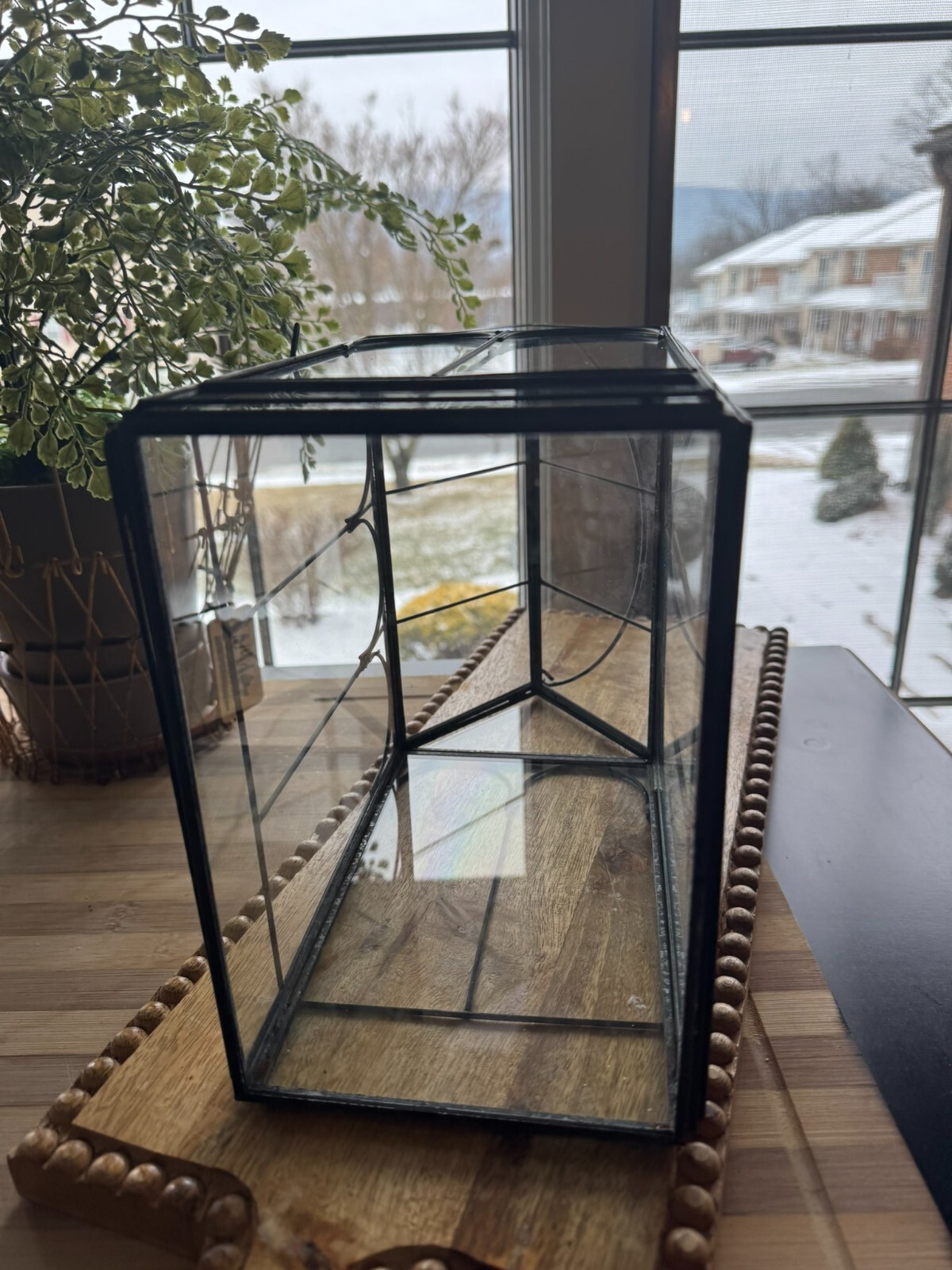 Antique Terrarium Glass w/ Metal Wardian Case Plant Container Miniature Garden