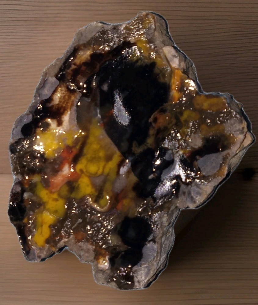 Dark Petrified Wood Rough 7 oz