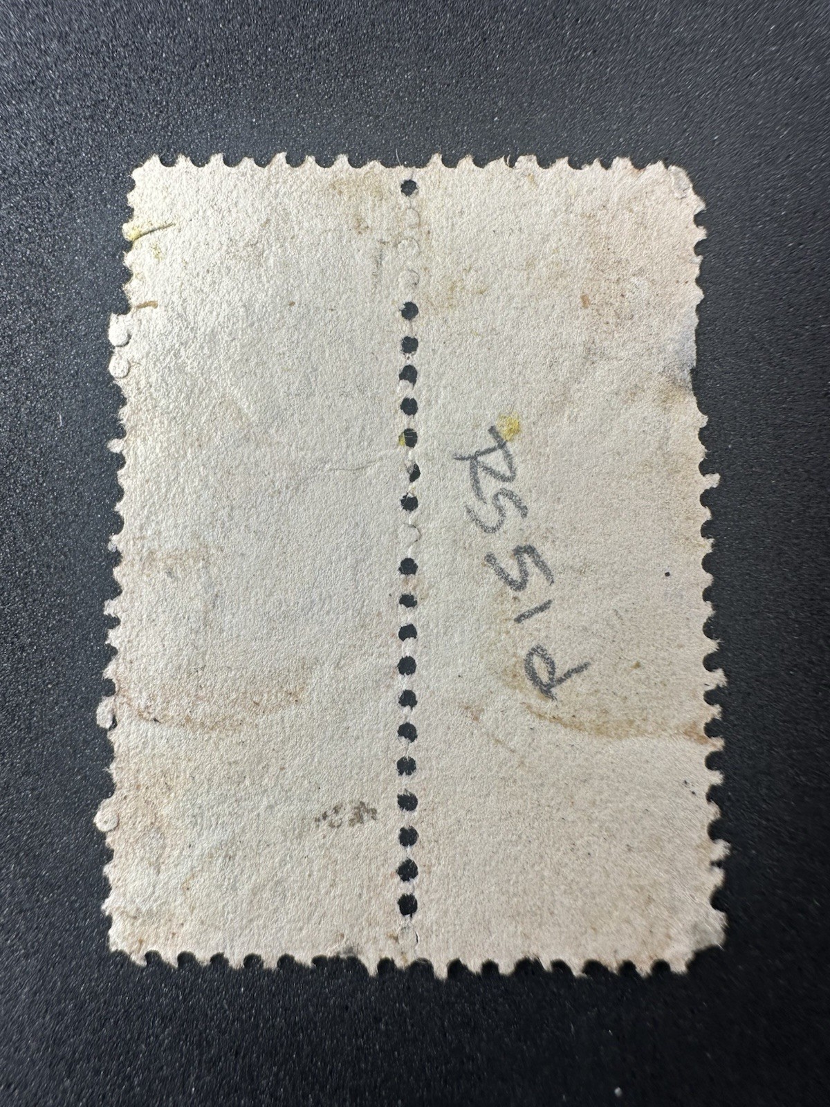 1878 RS51 Mint Pair Centaur Private Die Medicine Stamp Block