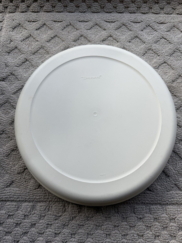 Tupperware Divided Dip Tray Serving Storage Set with lid Veggie Fruit