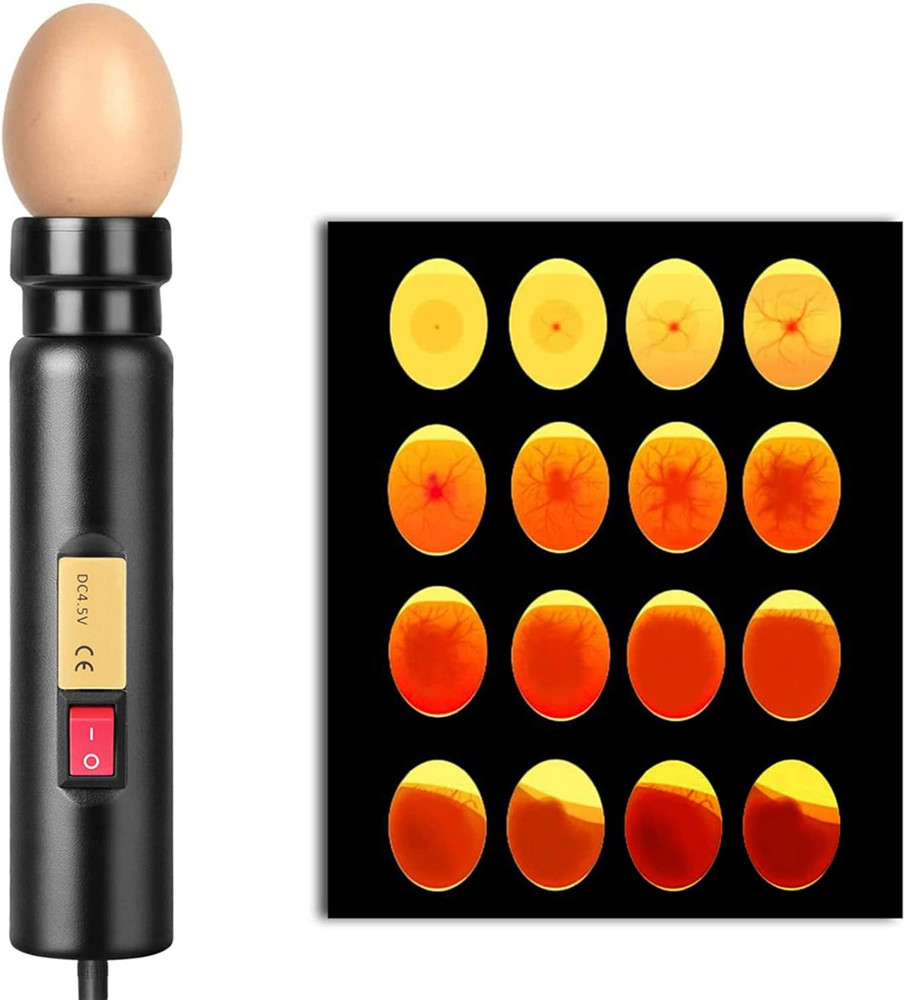 LED Egg Hatching Test Light, High LED Chicken Egg Candler Mini Egg Tester Pen...