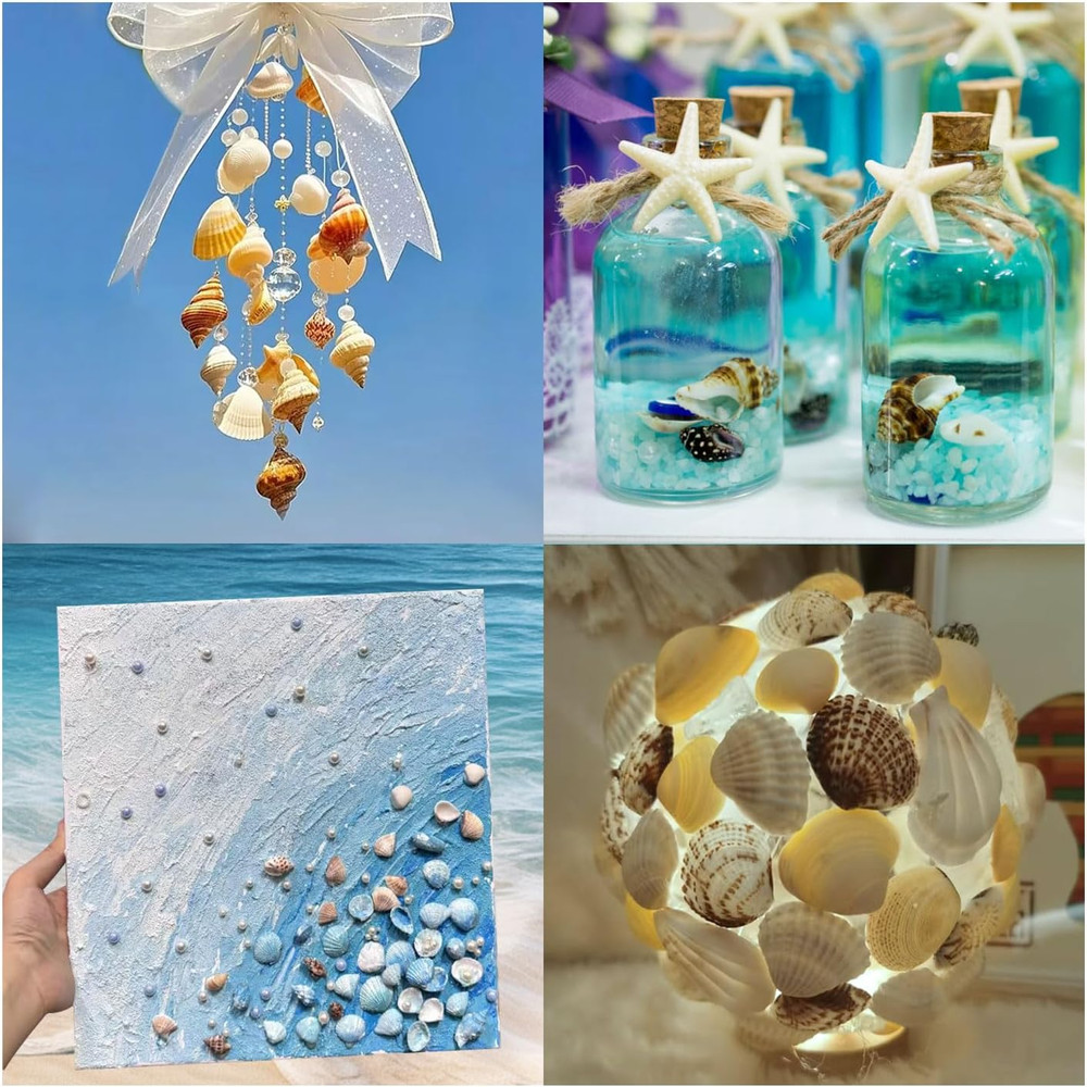 1200 PCS Natural Seashells, Tiny sea Shells & Small Starfish for Decorations, M