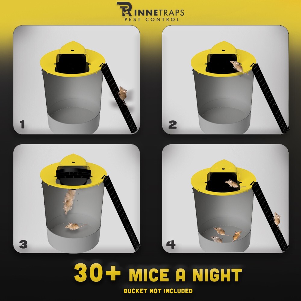RinneTraps - | Flip N Slide Bucket Lid Mouse Trap | As Seen on TV/Youtube