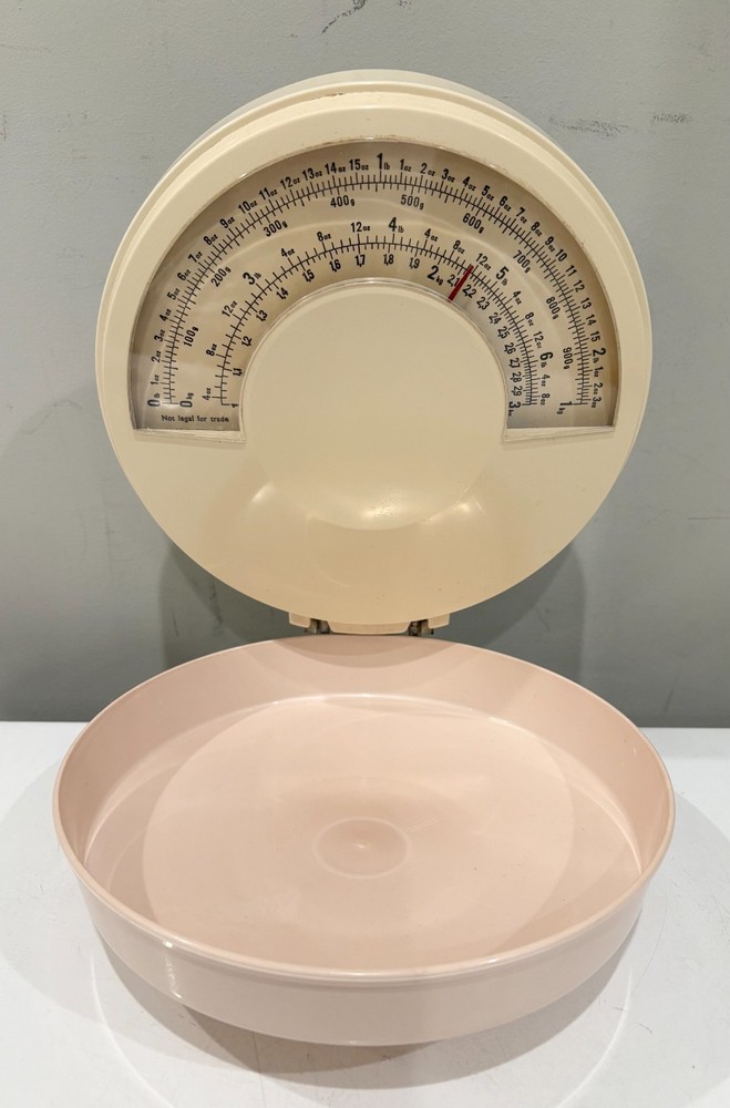 Eva Folding Wall Mount Kitchen Scale