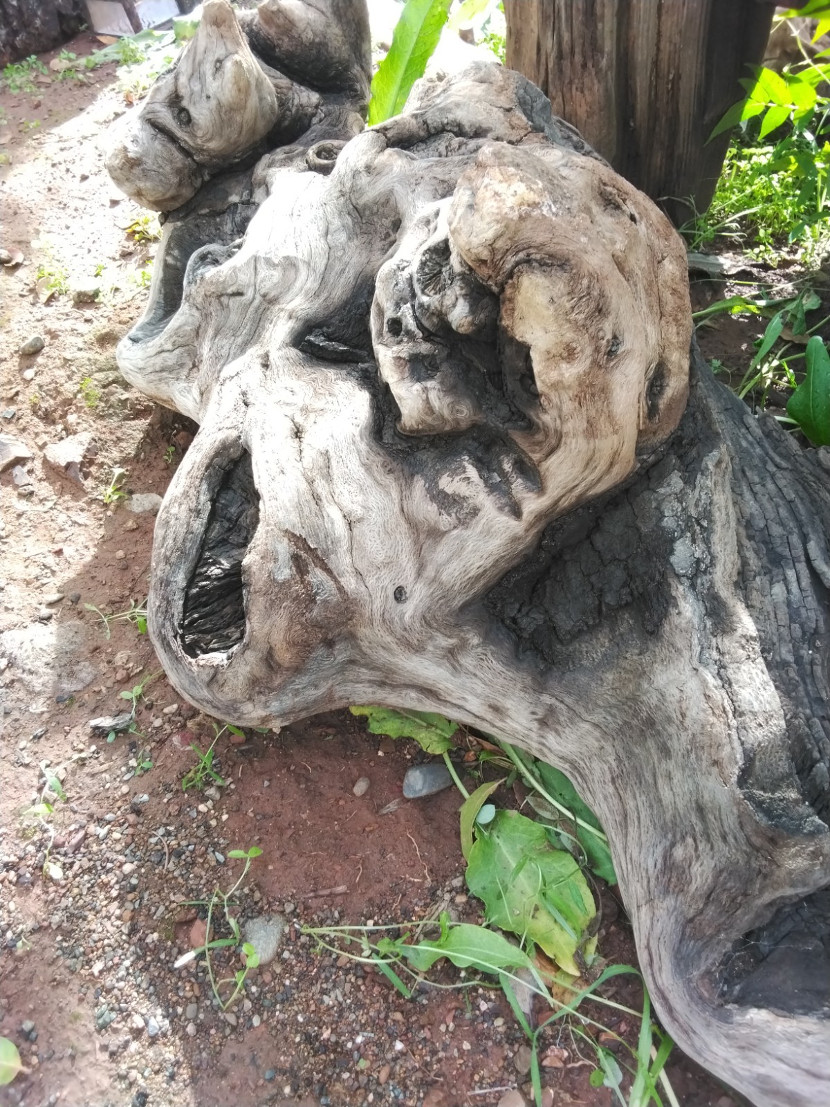 DrRIFTWOOD, LANDSCAPING, ART, AMAZING