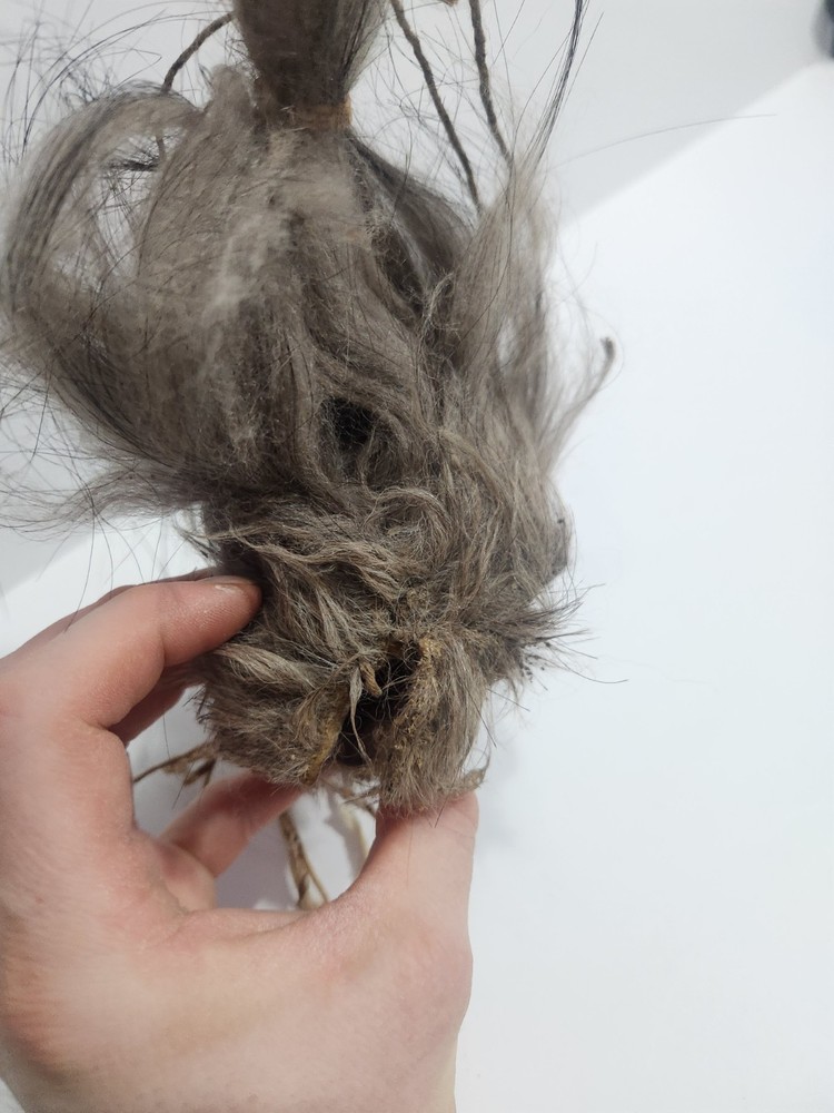 Shrunken Head, Oddities Curiosities,wierd Medium Used