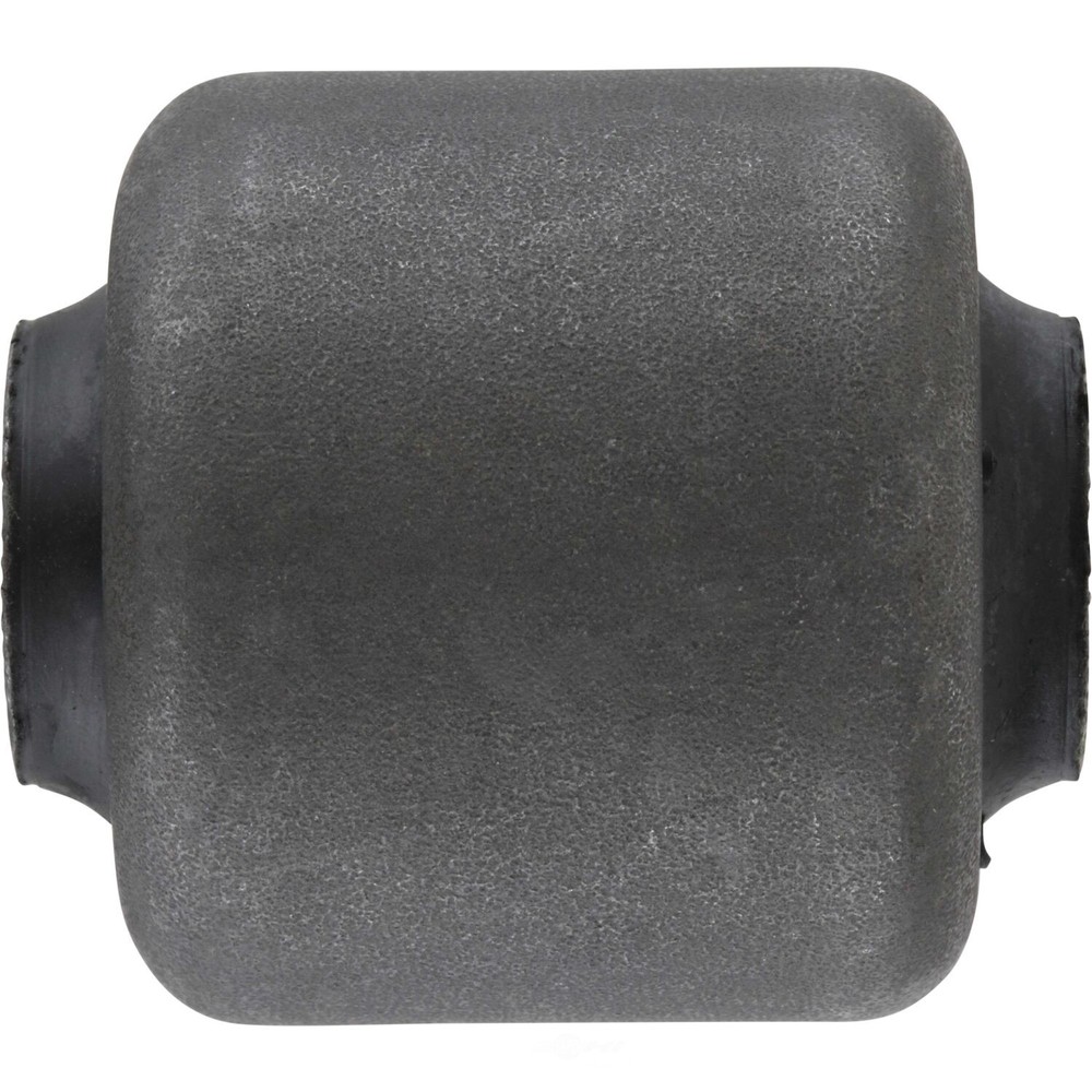 Suspension Control Arm Bushing Delphi TD483W