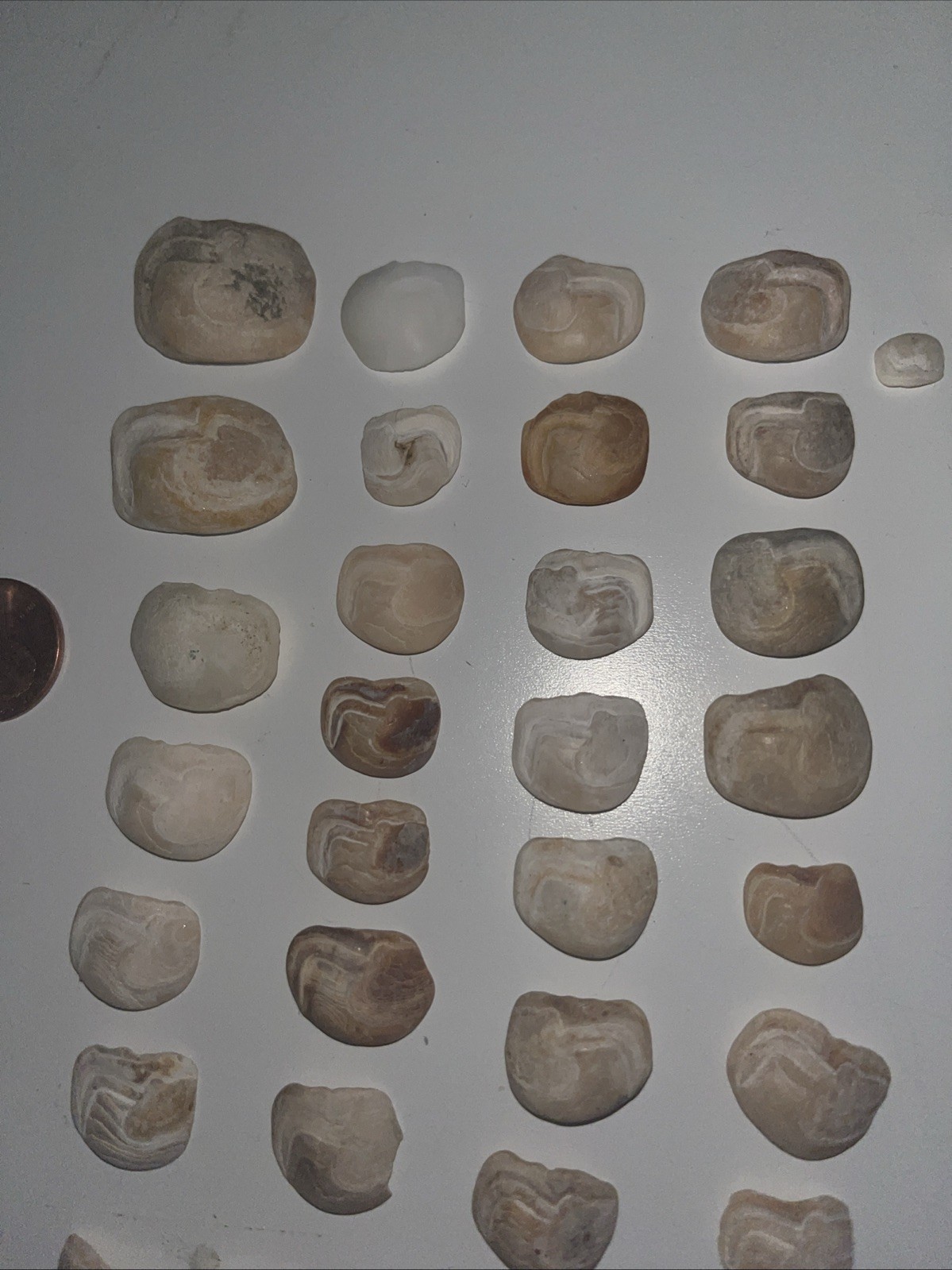 Lake Erie Lucky Stones Otolith Bones Crafts Decor Lot Of 42 Various Colors Sizes