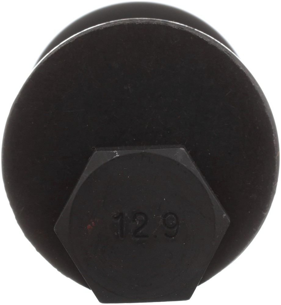 For 2012-2017 Buick Regal - Rear Alignment Cam Bolt Kit Delphi