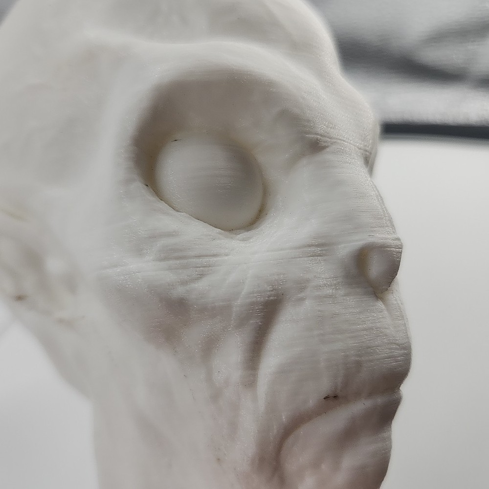 3D Printed Alien Head [109]