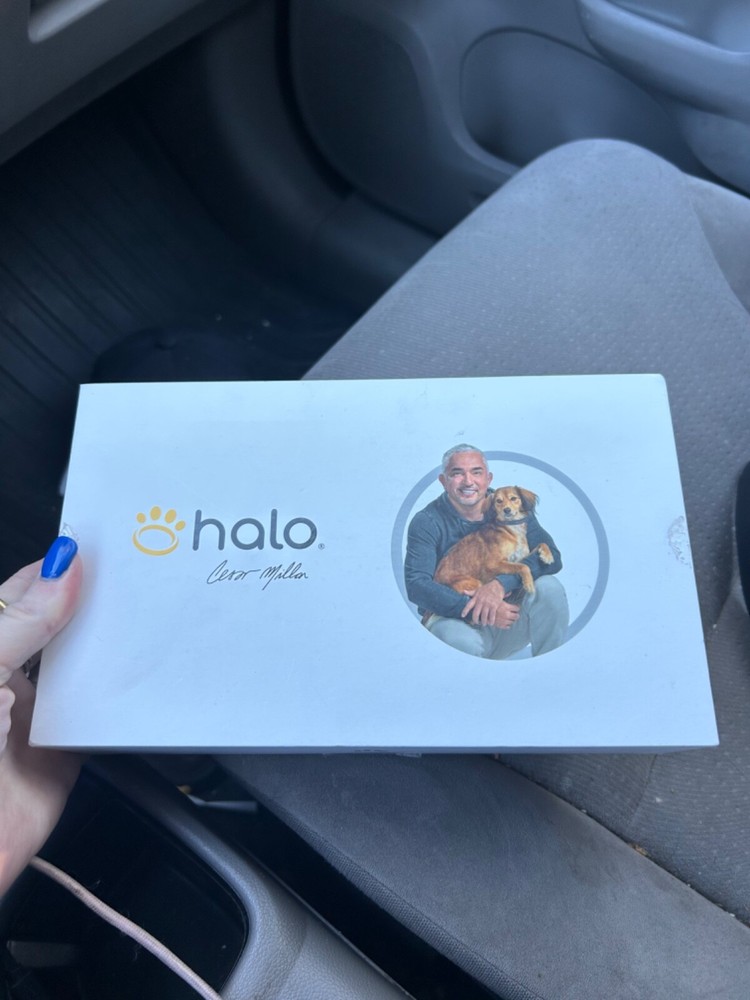 dog collar personalized gps and bluetooth