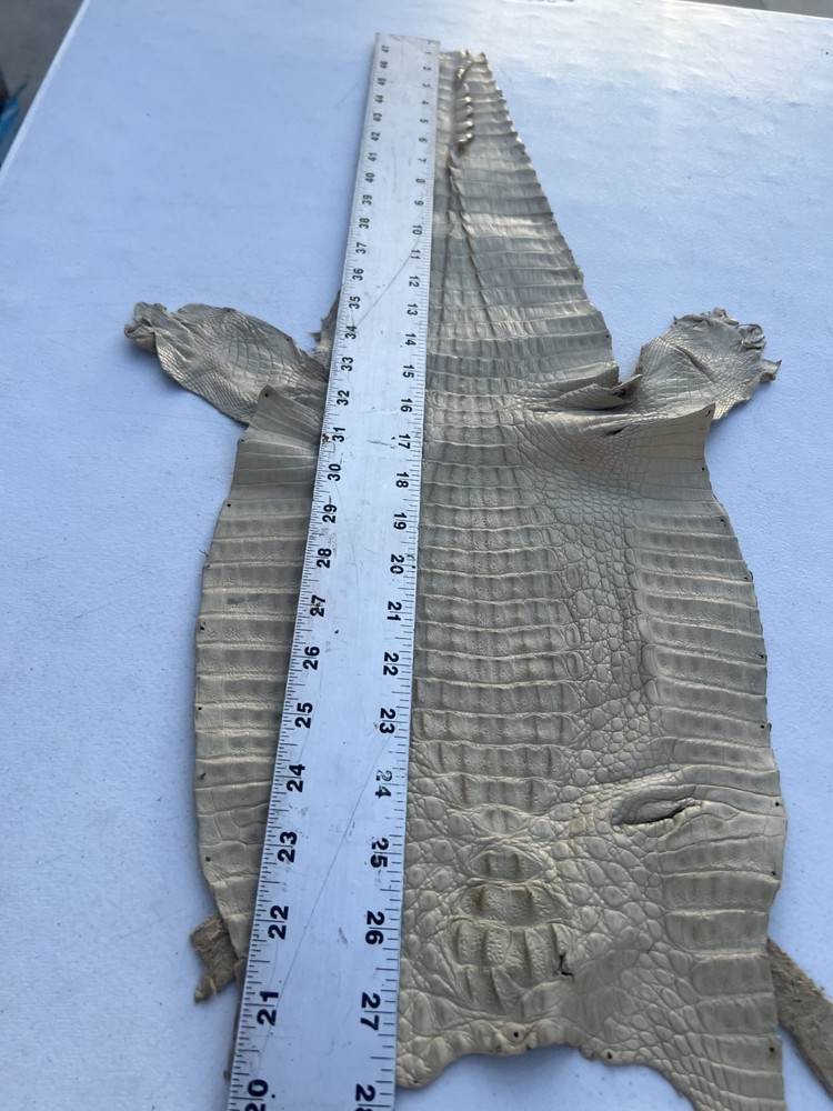 Genuine Crocodile Leather ( Bone Color )