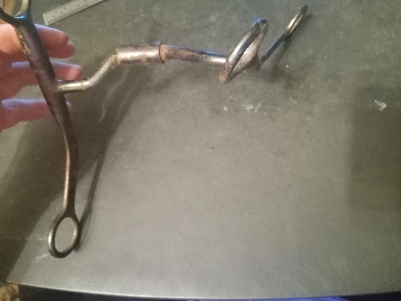 reining roping sweet iron bit 5 in comfort mouth barrel flat cheek