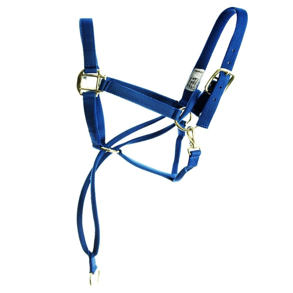 Basic Pull Back Training Halter Blue
