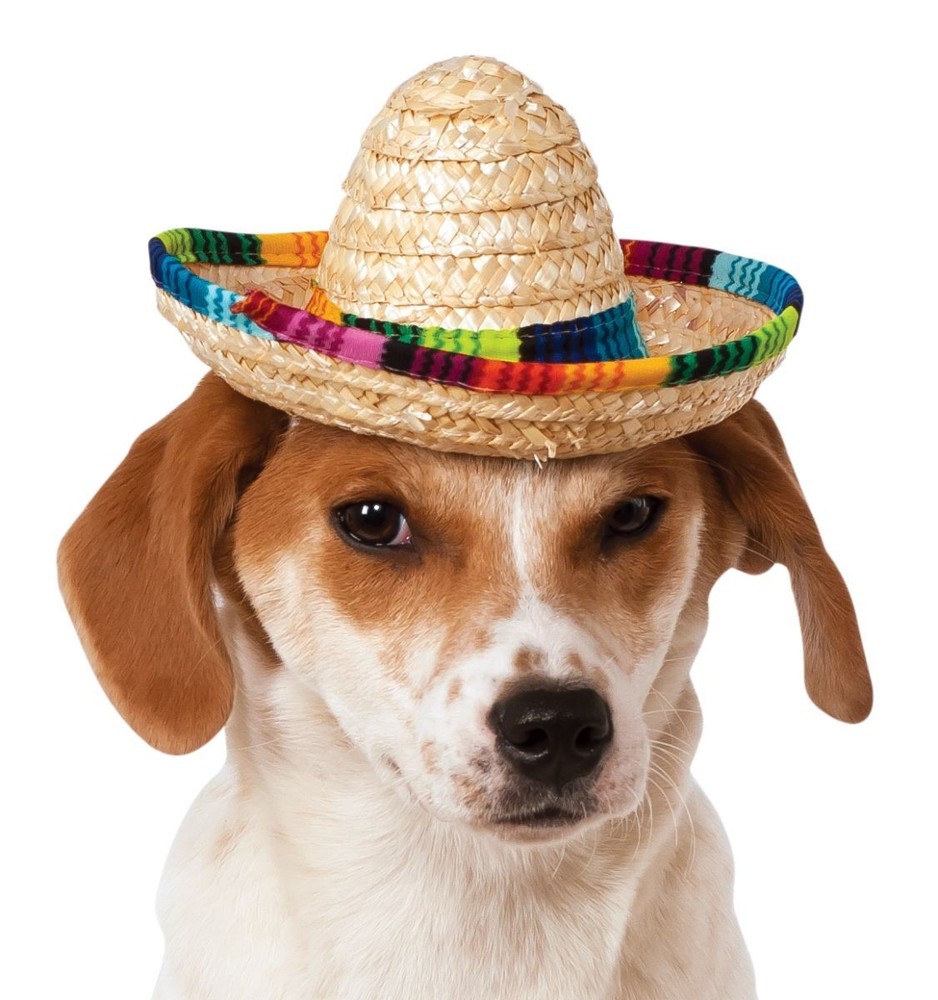 Pets Mexican Sombrero Hat, Small/Medium, Black