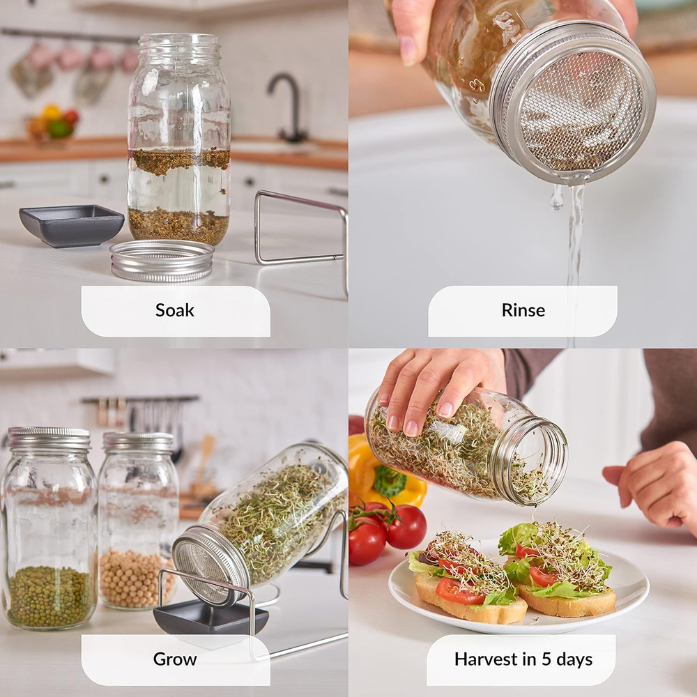 2 Pack Seed Sprouting Jar Lids | for 2.75" Regular Mouth Mason Jars | Fresh Spro