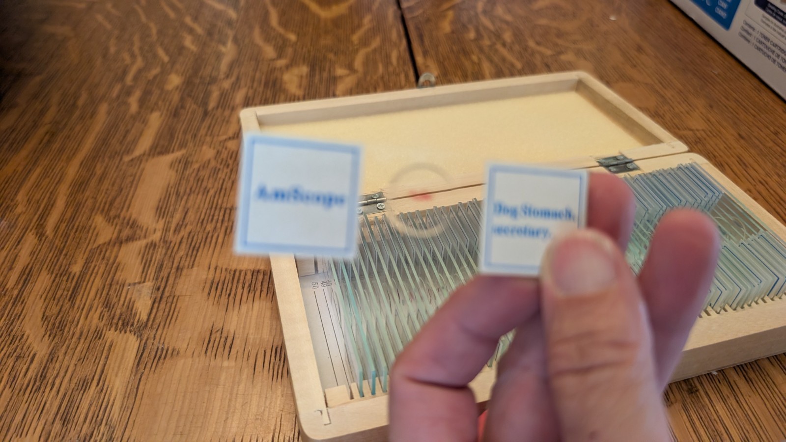 AmScope PS50A 50 Biology Pathology Prepared Microscope Slides Set slides and cov