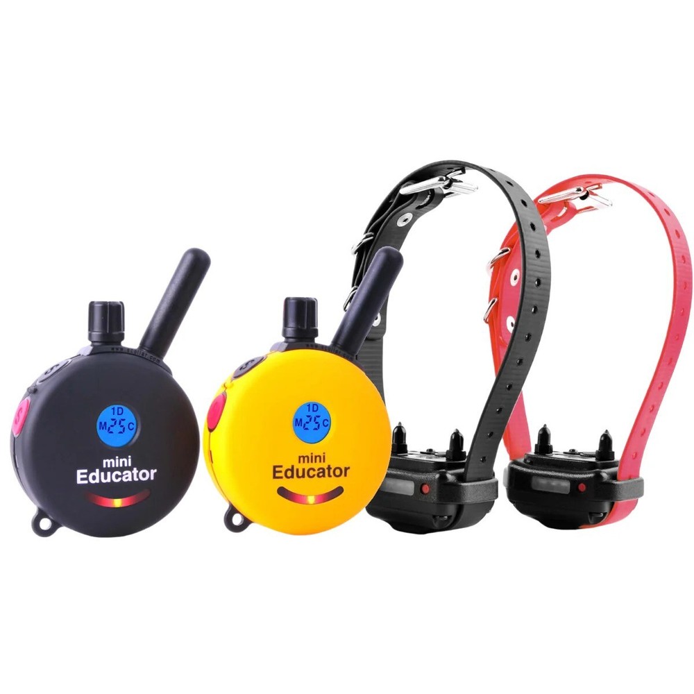Mini Educator ET-302 2T Remote Dog Training Collar with 2 Transmitters by E-Coll